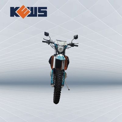 Watergekoelde OEM carburateur Twee Storke motoren Motor EC 300 met sterk vermogen